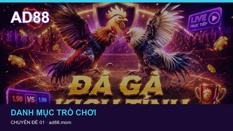 Những hiểu lầm nên tránh khi đọc hướng dẫn Đá gà – hiểu thuật ngữ trận đấu có trách nhiệm