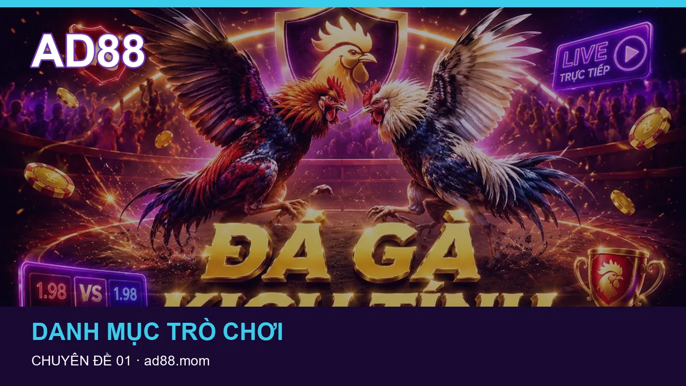 Những hiểu lầm nên tránh khi đọc hướng dẫn Đá gà – hiểu thuật ngữ trận đấu có trách nhiệm